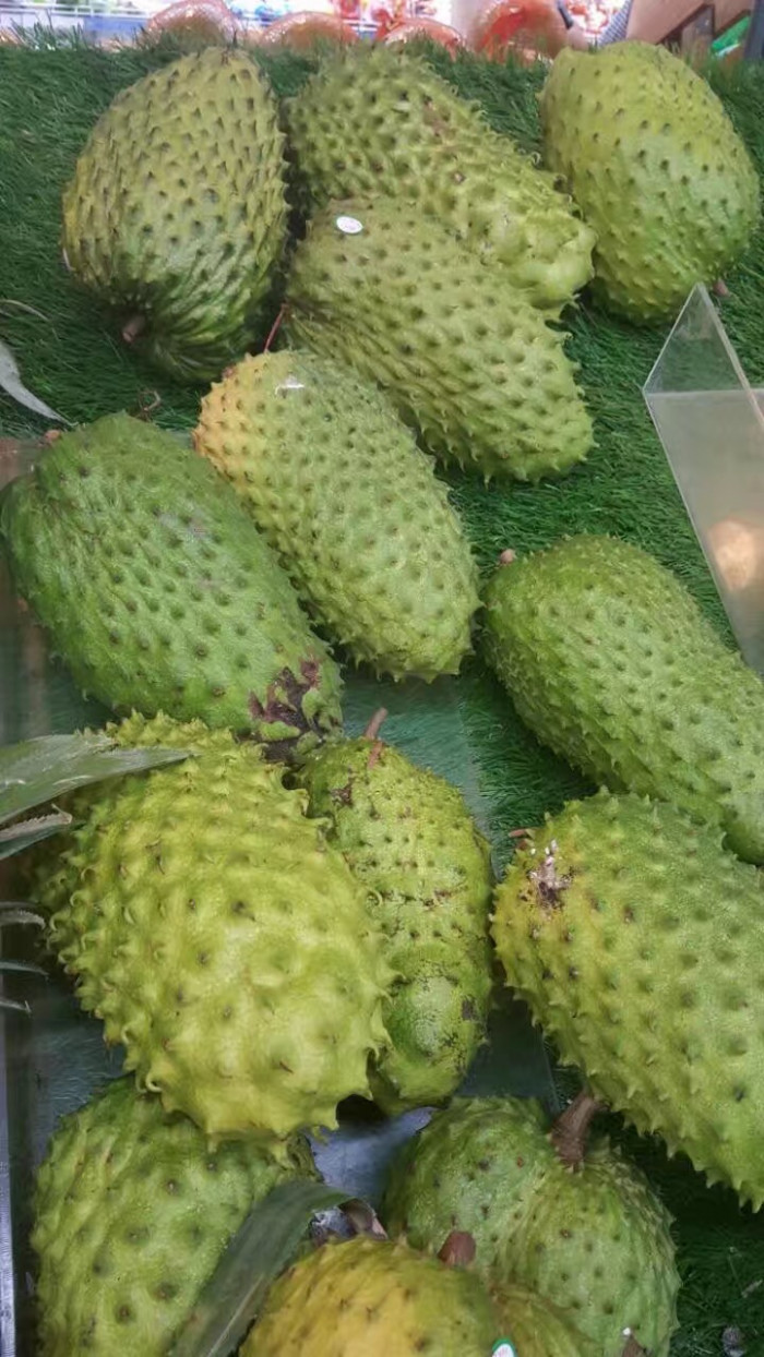 그라비올라 - Graviola, Annona muricata L