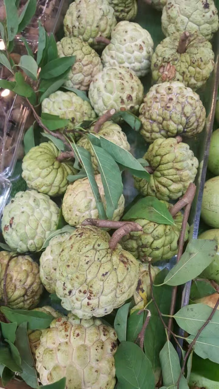 슈가애플 - Annona Squamosa
