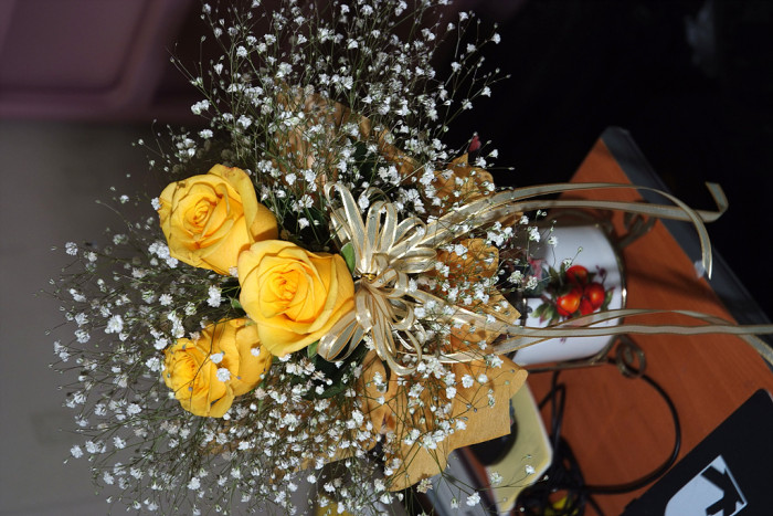 장미 - Rose, Rosa hybrida