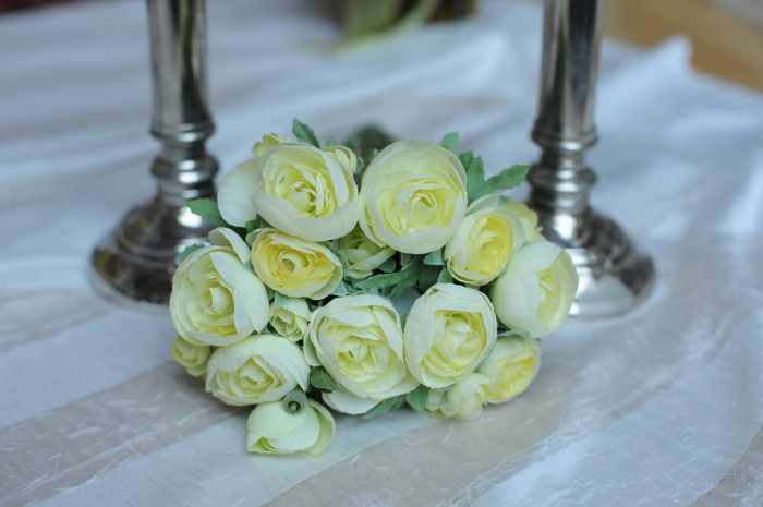 장미 - Rose, Rosa hybrida
