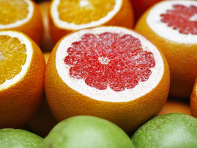 중국유자 사진 - Citrus grandis Photos