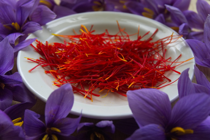 샤프란 - Saffron crocus, autumn crocus, Crocus sativus L.
