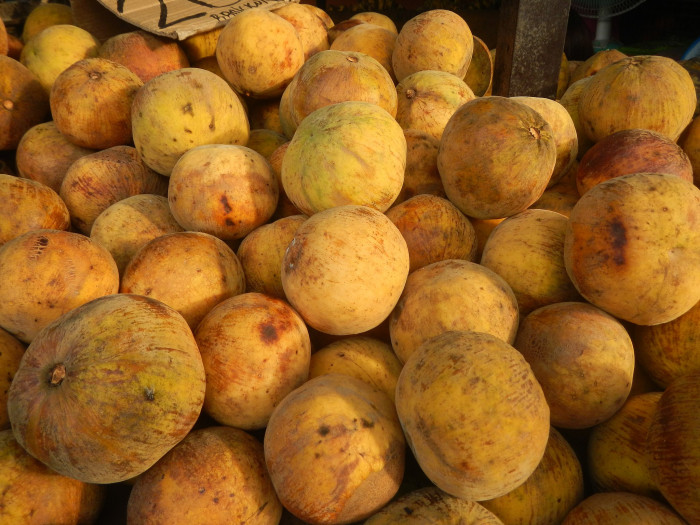 산돌 - Santol, Sandoricum koetjape