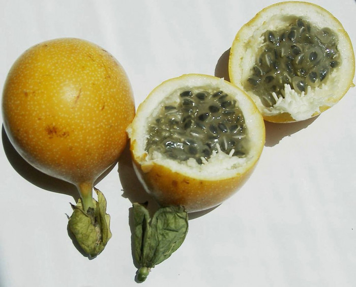 그라나딜라 - Sweet Granadilla, Passiflora ligularis