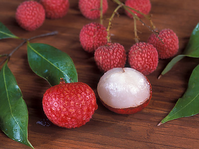 리치 사진 - Litchi chinensis Photos