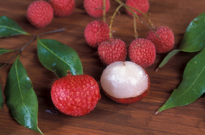 리치 - Lychee Fruit, Litchi chinensis