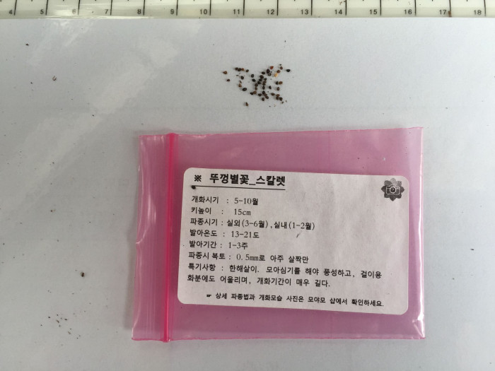 뚜껑별꽃 - Scarlet Pimpernel, Red Pimpernel, Red Chickweed, Anagallis arvensis L.