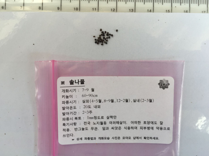 솔나물 - Galium verum var. asiaticum Nakai